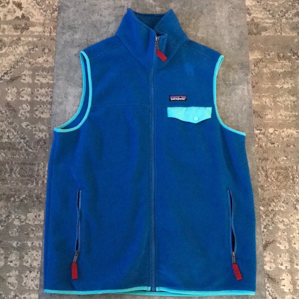 Patagonia Synchilla Snap T Vest